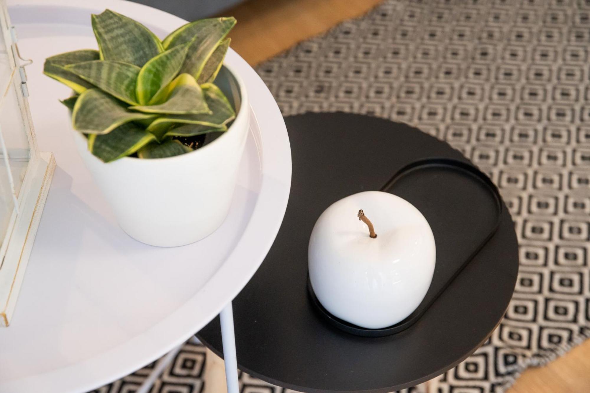 Apartman Olinar