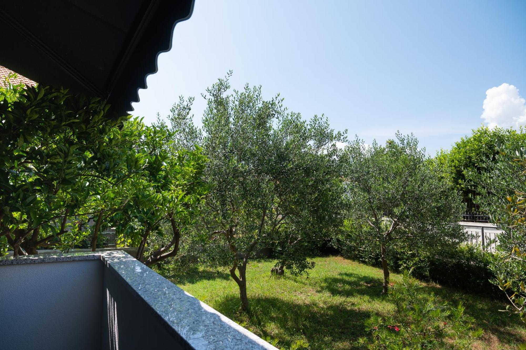 Olinar Apartma Zadar